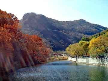 新澳天天开奖资料大全旅游团，异界之巅峰高手